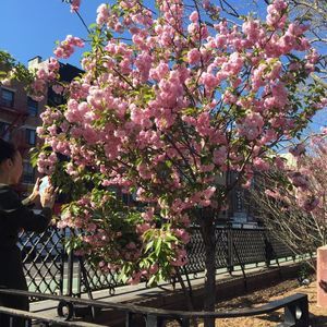 Meet your Posher, Yong